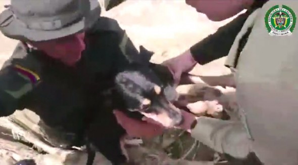 Principe being rescued by hero police officers.