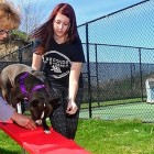 5.17.15 Teen Builds Donates Agility Course for Shelter Dogs2