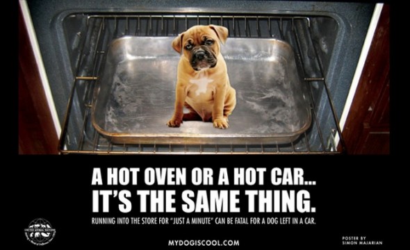5.21.15 - hot cars