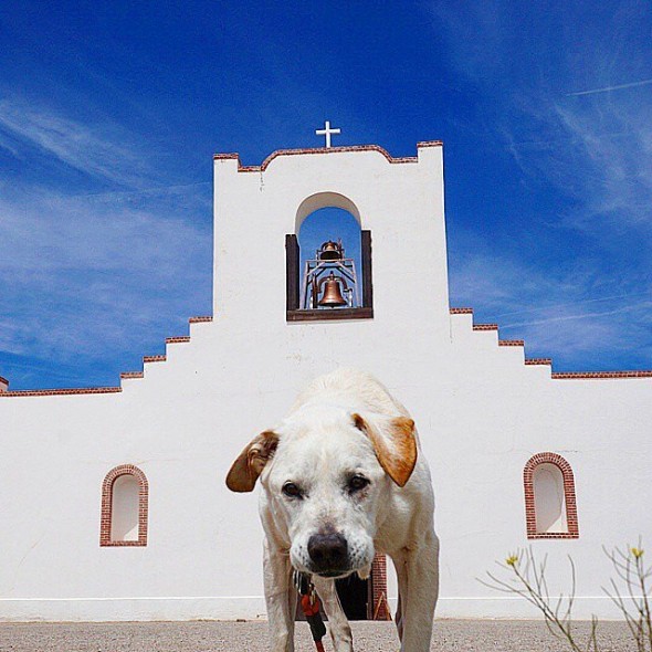 5.27.15 - Dying Dog Goes on Legendary Cross-Country Tour9