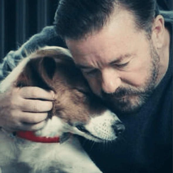 Ricky gervais twitter feed Ricky gervais twitter feed
