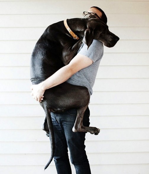 6.19.15 - Dog Hugs11