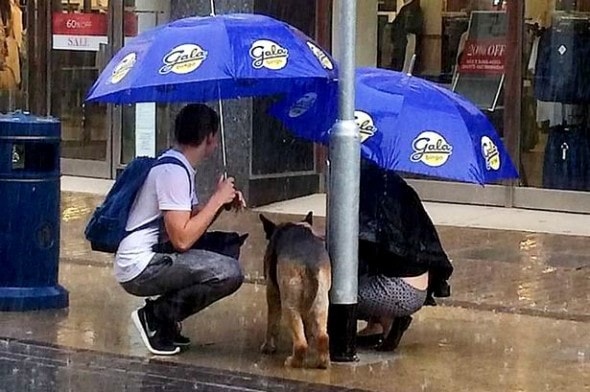 8.26.15 - Kind Couple Shelters Dog During Rainstorm1