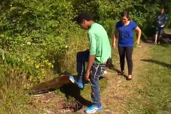 8.6.15 - Kids Save Starving Sewer Dog0