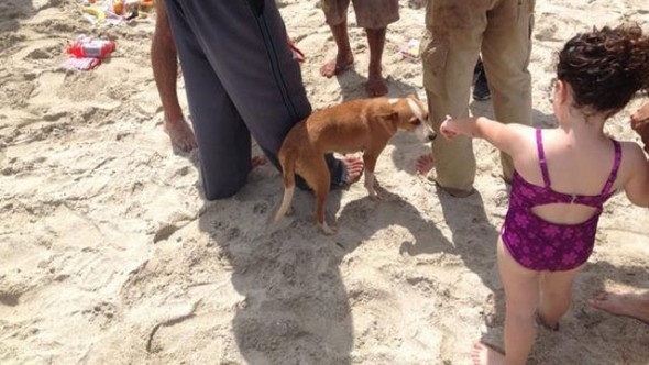 A child point to Chiquitica after arriving on Miami Beach.