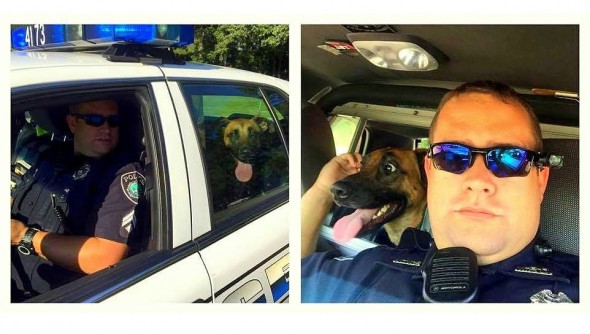 9.1.15 - cop helps dog2