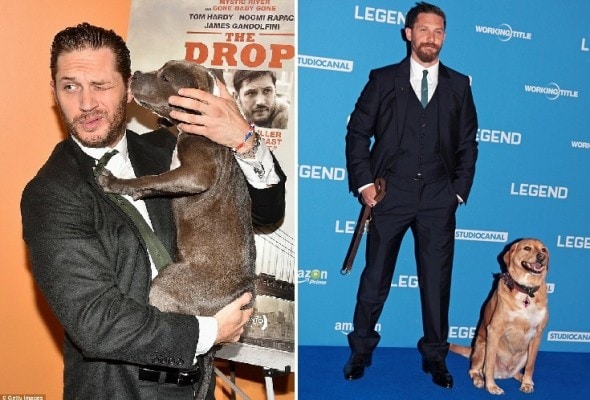 9.17.15 - Tom Hardy Dog6