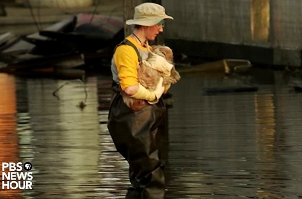 9.4.15 - How Hurricane Katrina Is Saving Pets’ Lives6