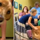 9.9.15 Dog with Cancer Reunited with Family0