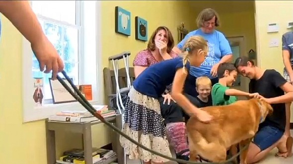 9.9.15 - Dog with Cancer Reunited with Family3
