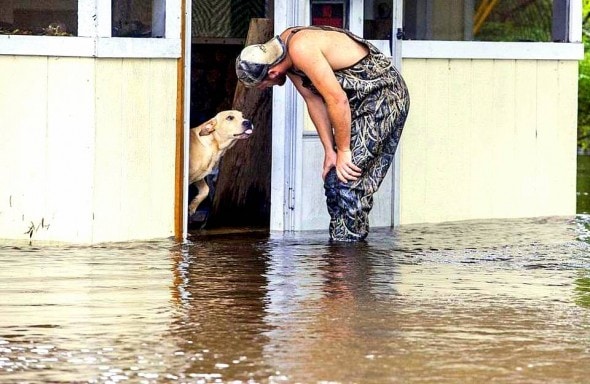 10.10.15 - Man Rescues & Adopts Dog Heartlessly Abandoned During Flood1