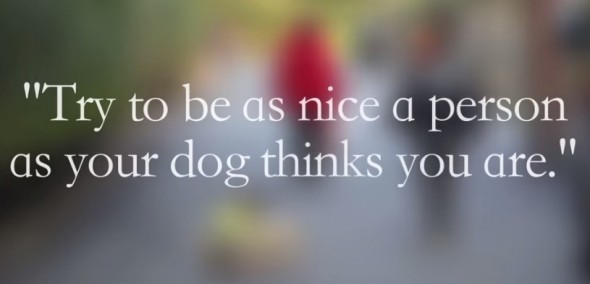 10.13.15 - dog box7