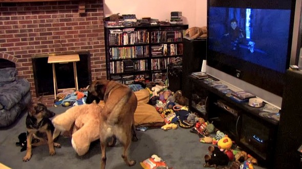 10.29.15 - Dog Is Obsessed with Favorite Movie - Bolt2