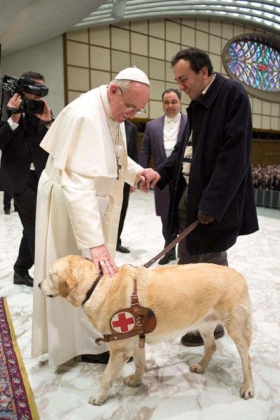 11.10.15 - Pope dog3