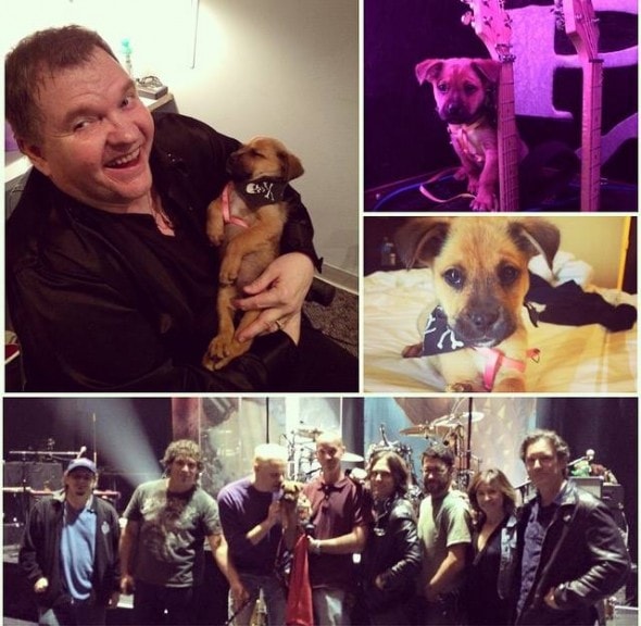 11.11.15 - Meat Loaf Rescues Puppy2