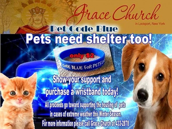 Donations for pets in need can also be made online