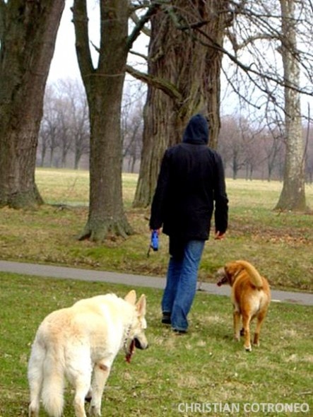 Man's best friends.