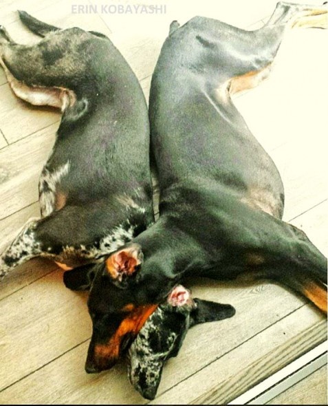 Luna and her other best friend, Athena.