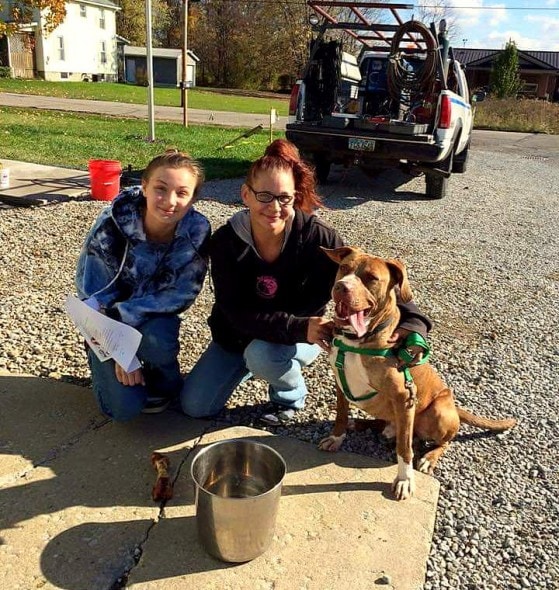 11.25.15 - Dog Whose Only Friend Is a Bucket Now Ready for a Home2