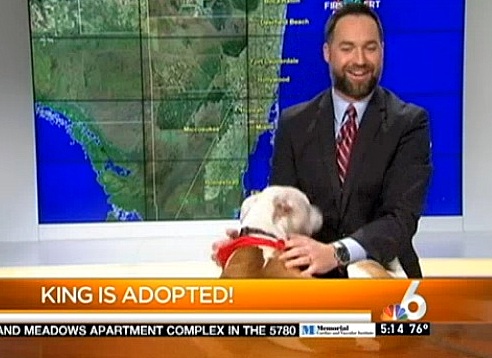 11.25.15 - Pit Bull Showers Meteorologist with Love3