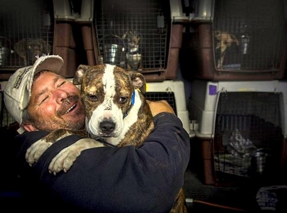 11.27.15 - Man Spends Half of His Year Driving to Save Dogs1