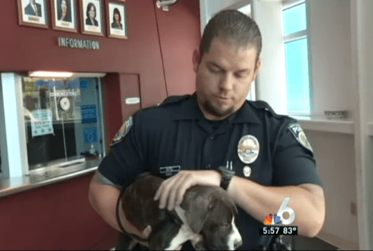 Officer Soto and the puppy. Photo Credit: NBC Miami News