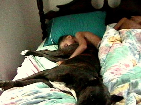 12.10.15 - Pros & Cons of Snoozing with Dogs3