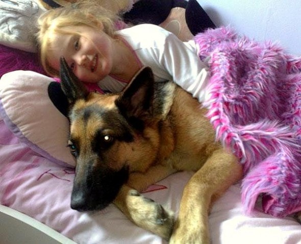 12.10.15 - Pros & Cons of Snoozing with Dogs4