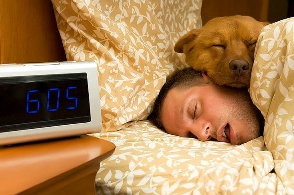 12.10.15 - Pros & Cons of Snoozing with Dogs5