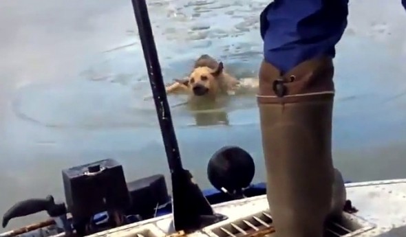 12.10.15 - Russian Crew Saves Dog in Frozen River1