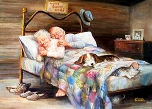 12-11-15-14-pros-cons-to-dogs-sleeping-in-bed