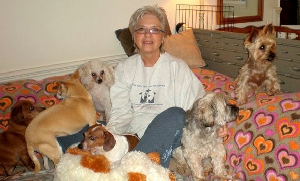 12.11.15 Woman Opens Retirement Home for Dogs0
