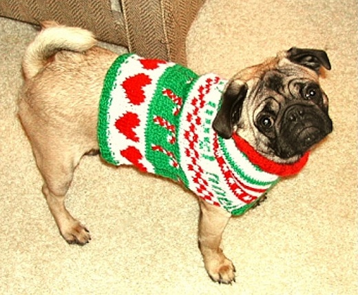 12.17.15 - Dog Ugly Christmas Sweater16