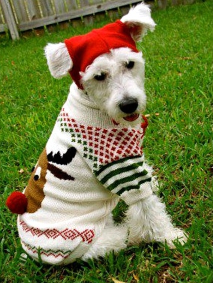 12.17.15 - Dog Ugly Christmas Sweater19