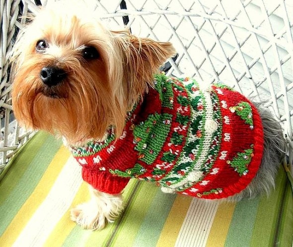12.17.15 - Dog Ugly Christmas Sweater7