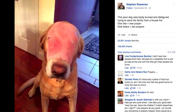 12.30.15 - Prankster Tricks Thousands with “Disfigured” Ham-Faced Dog2