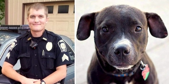 12.9.15 - Police Chief Resigns After Shooting Dog6