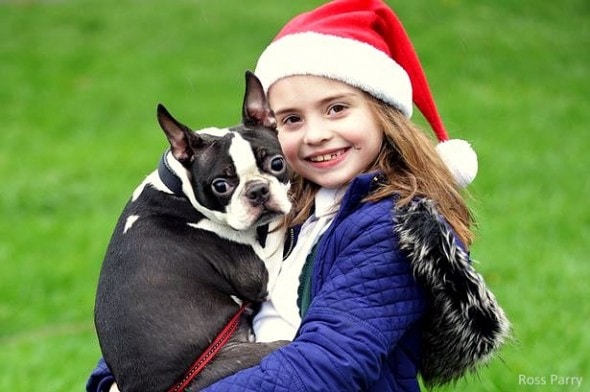 12.9.15 - “Santa” Brings Home Little Girl’s Missing Dog1