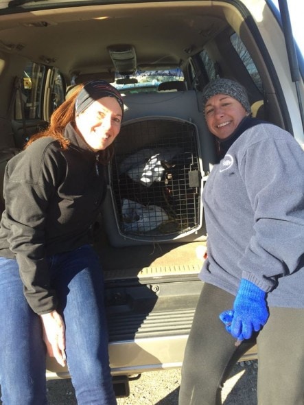 Stephanie Sparks, Kera Ketcher Bagwelld and Bear. Photo Credit: Stephanie Sparks