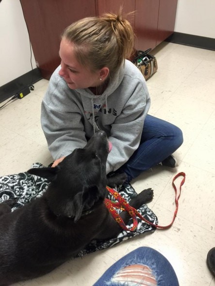 Bear meeting his owner after spending three years apart. Photo Credit: Stephanie Sparks