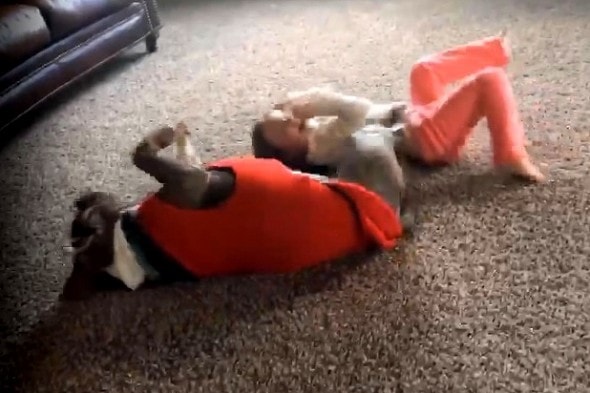 1.13.16 - Pit Bull Adorably Tries to Imitate Little Girl’s Cartwheel3