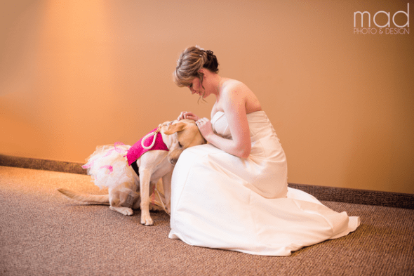 1.18.16 - bride dogFEAT