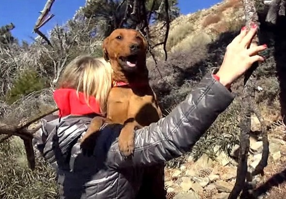 1.2.16 - Three Dog Sisters Living on Freezing Mountain Rescued5