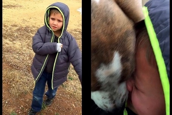 1.21.16 - Little Boy Has Tear-Jerking Reunion with Missing Dog3