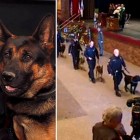 1.21.16 Over One Hundred K 9s Walk in Funeral Procession for Jethro0