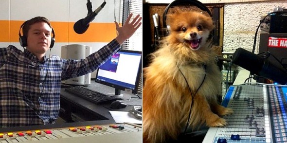 1.21.16 - Twitter Account Shows Users Who Their Dog Twin Is17