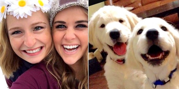 1.21.16 - Twitter Account Shows Users Who Their Dog Twin Is20