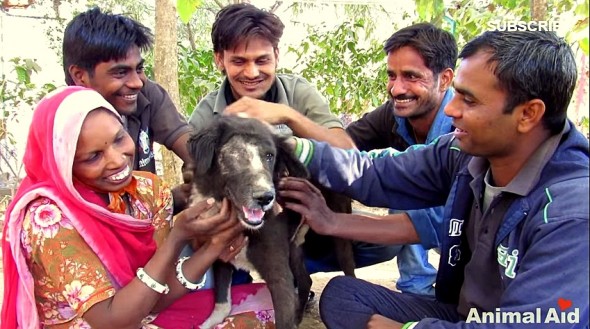 1.27.16 - Dog Miraculously Grows a New Face Thanks to Rescuers6