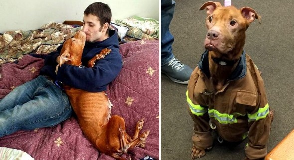 1.29.16 - Rescue Group Makes Bucket List for Dog Who’s Spent Life in a Cage6
