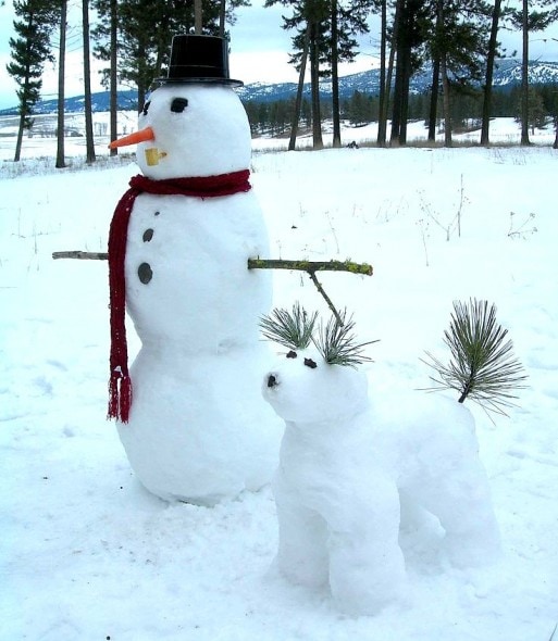 12.12.15 - Snow Sculptures15
